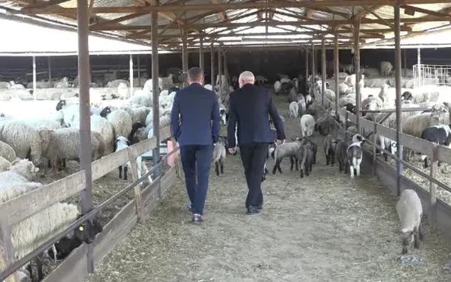 Marius Bîcu – managing partner: În fabrică erau aproximativ 10 oameni când am preluat afacerea, acum sunt 70