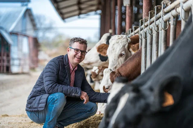 Ziarul Financiar: „Acordul privind Brexitul bate la uşă. Ce spun exportatorii români? Şeful Unilact: Chiar dacă o să fie impuse taxe vamale, nu cred că se încheie colaborarea cu Anglia”