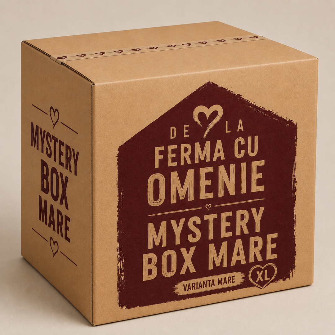 Mystery Box – Ediția Mare